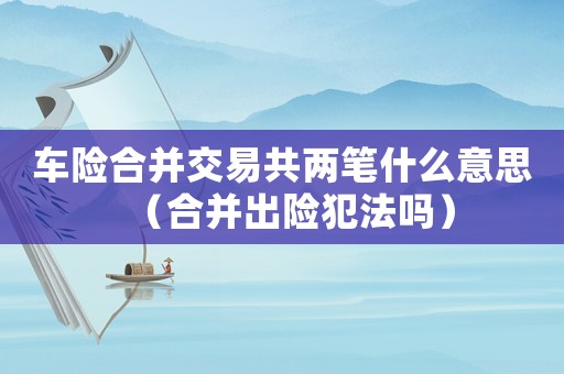 車險合并交易共兩筆什么意思（合并出險犯法嗎）