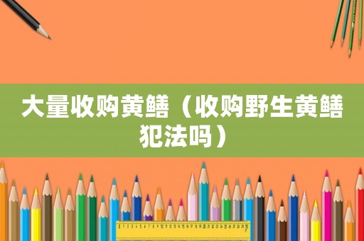 大量收購黃鱔（收購野生黃鱔犯法嗎）