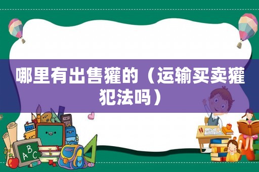 哪里有出售獾的（運輸買賣獾犯法嗎）
