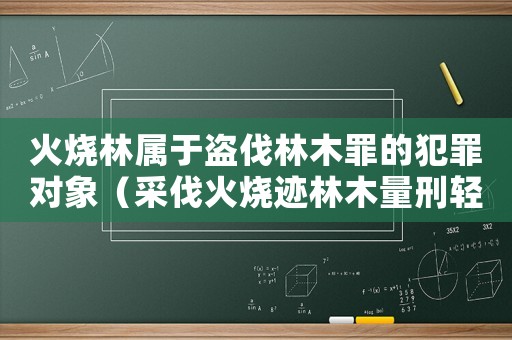火燒林屬于盜伐林木罪的犯罪對象（采伐火燒跡林木量刑輕嗎）
