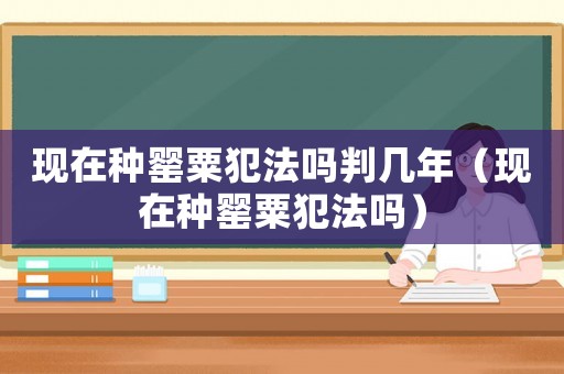 現在種罌粟犯法嗎判幾年（現在種罌粟犯法嗎）