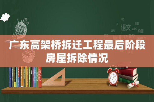 廣東高架橋拆遷工程最后階段房屋拆除情況