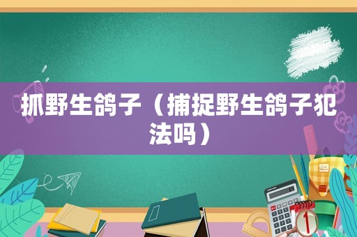 抓野生鴿子（捕捉野生鴿子犯法嗎）