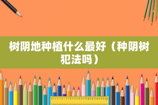 樹陰地種植什么最好（種陰樹犯法嗎）
