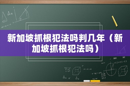 新加坡抓根犯法嗎判幾年（新加坡抓根犯法嗎）