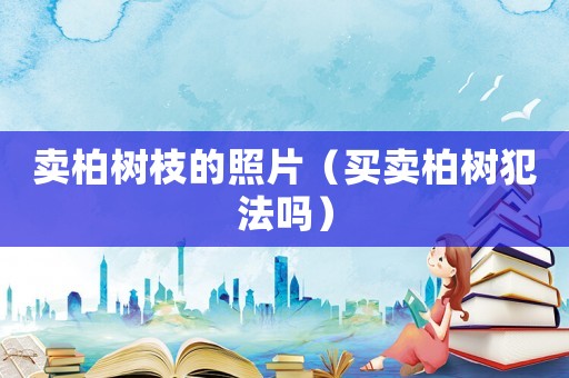 賣柏樹枝的照片（買賣柏樹犯法嗎）