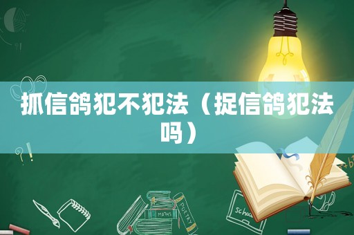 抓信鴿犯不犯法（捉信鴿犯法嗎）