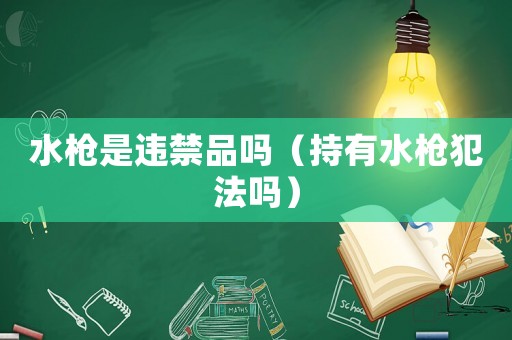 水槍是違禁品嗎（持有水槍犯法嗎）