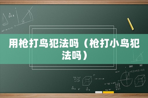 用槍打鳥犯法嗎（槍打小鳥犯法嗎）
