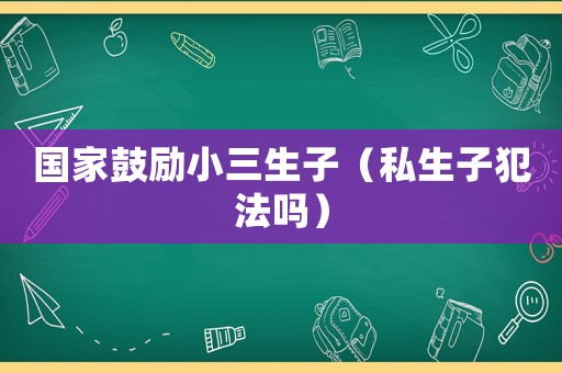國家鼓勵小三生子（私生子犯法嗎）