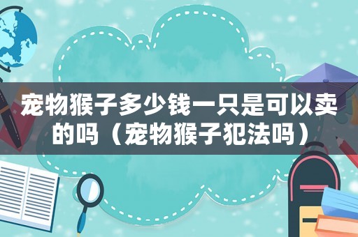 寵物猴子多少錢(qián)一只是可以賣(mài)的嗎（寵物猴子犯法嗎）