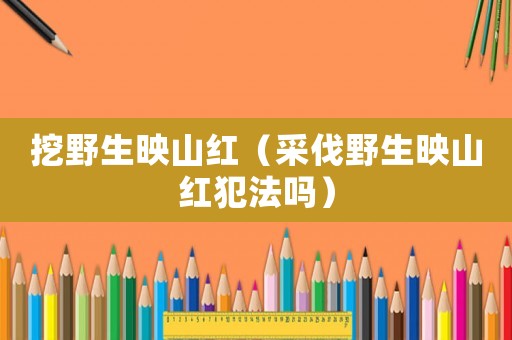挖野生映山紅（采伐野生映山紅犯法嗎）