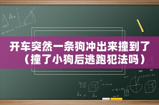 開車突然一條狗沖出來撞到了（撞了小狗后逃跑犯法嗎）