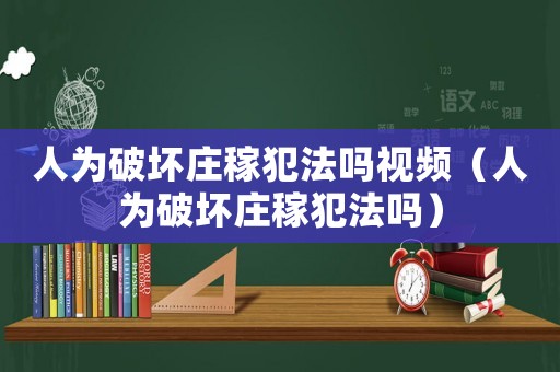 人為破壞莊稼犯法嗎視頻（人為破壞莊稼犯法嗎）