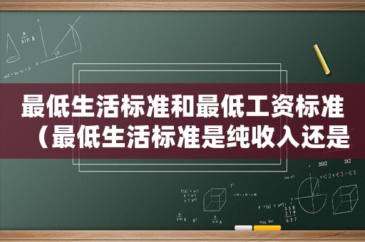 最低生活標(biāo)準(zhǔn)和最低工資標(biāo)準(zhǔn)（最低生活標(biāo)準(zhǔn)是純收入還是）