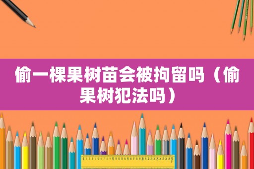 偷一棵果樹苗會被拘留嗎（偷果樹犯法嗎）