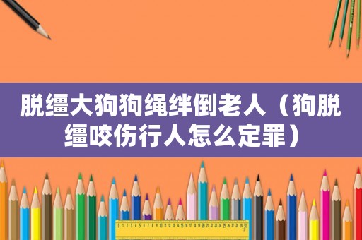 脫韁大狗狗繩絆倒老人（狗脫韁咬傷行人怎么定罪）