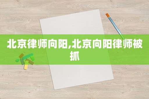 北京律師向陽,北京向陽律師被抓