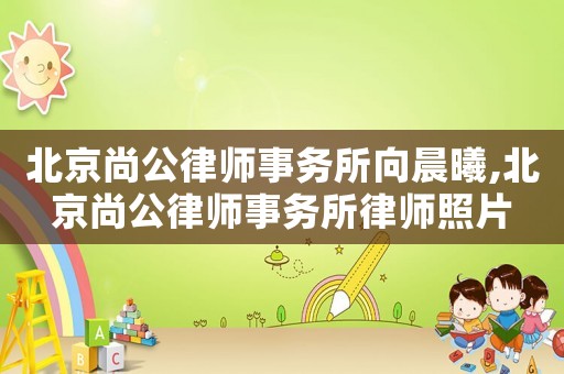 北京尚公律師事務所向晨曦,北京尚公律師事務所律師照片
