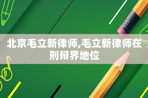 北京毛立新律師,毛立新律師在刑辯界地位