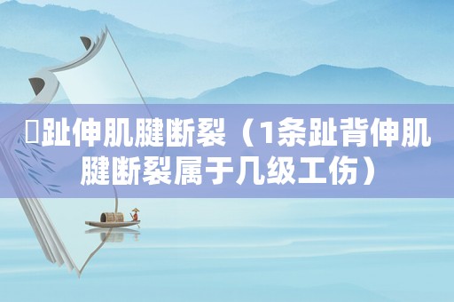 踇趾伸肌腱斷裂（1條趾背伸肌腱斷裂屬于幾級工傷）