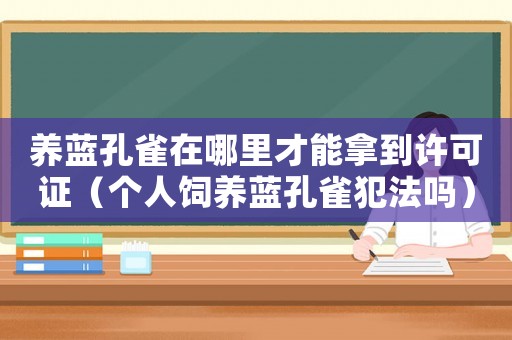 養(yǎng)藍(lán)孔雀在哪里才能拿到許可證（個(gè)人飼養(yǎng)藍(lán)孔雀犯法嗎）