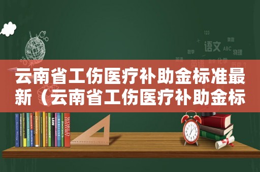 云南省工傷醫(yī)療補助金標(biāo)準(zhǔn)最新（云南省工傷醫(yī)療補助金標(biāo)準(zhǔn)）