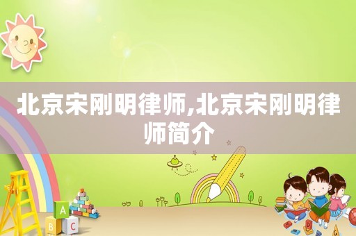 北京宋剛明律師,北京宋剛明律師簡介