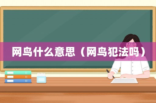 網鳥什么意思（網鳥犯法嗎）