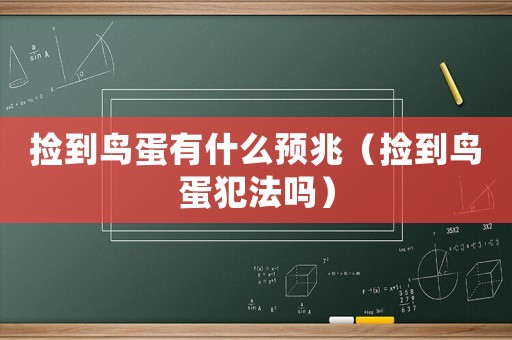 撿到鳥蛋有什么預(yù)兆（撿到鳥蛋犯法嗎）
