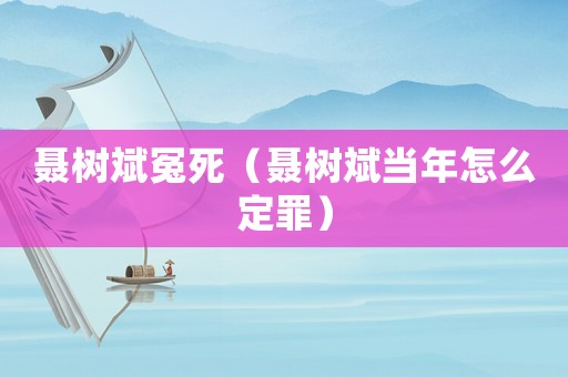 聶樹斌冤死（聶樹斌當年怎么定罪）