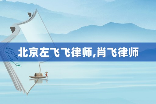 北京左飛飛律師,肖飛律師