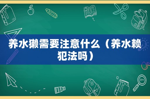 養水獺需要注意什么（養水賴犯法嗎）
