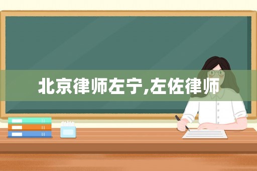 北京律師左寧,左佐律師
