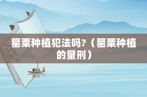 罌粟種植犯法嗎?（罌粟種植的量刑）