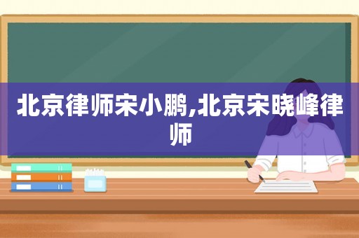 北京律師宋小鵬,北京宋曉峰律師