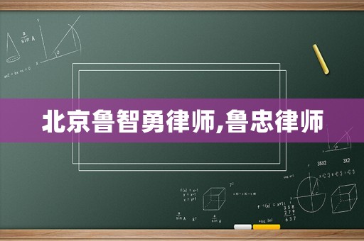 北京魯智勇律師,魯忠律師