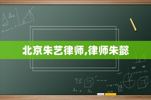北京朱藝律師,律師朱懿