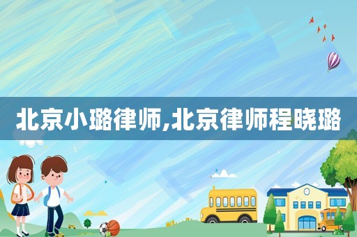 北京小璐律師,北京律師程曉璐