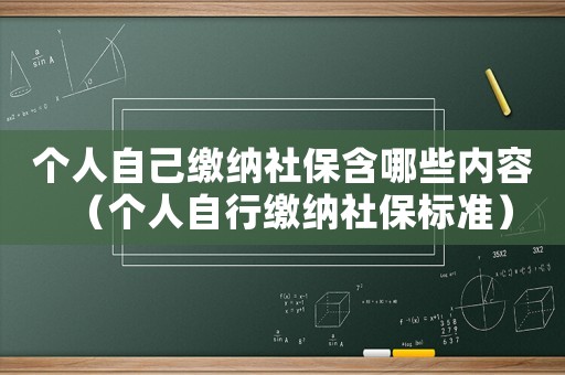個人自己繳納社保含哪些內(nèi)容（個人自行繳納社保標(biāo)準(zhǔn)）