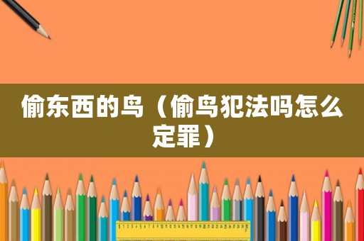 偷東西的鳥（偷鳥犯法嗎怎么定罪）