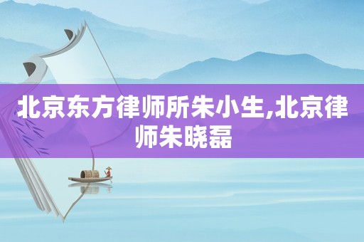 北京東方律師所朱小生,北京律師朱曉磊