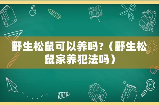野生松鼠可以養(yǎng)嗎?（野生松鼠家養(yǎng)犯法嗎）