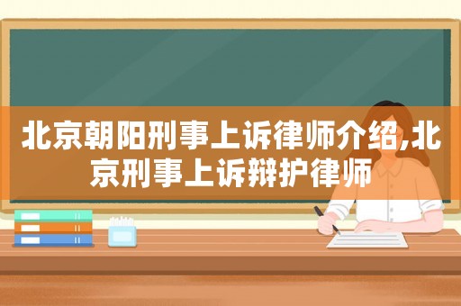 北京朝陽刑事上訴律師介紹,北京刑事上訴辯護律師