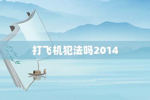 打飛機犯法嗎2014