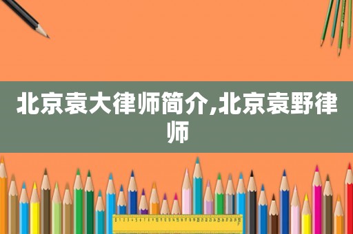 北京袁大律師簡(jiǎn)介,北京袁野律師