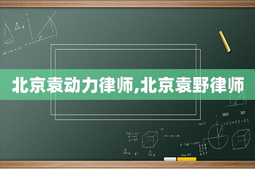 北京袁動力律師,北京袁野律師