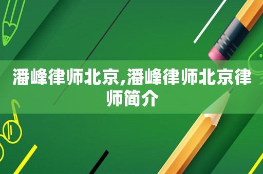 潘峰律師北京,潘峰律師北京律師簡介