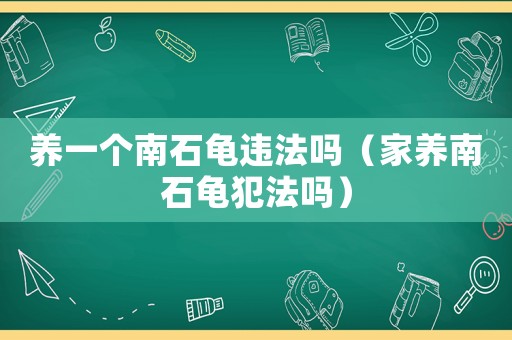養一個南石龜違法嗎（家養南石龜犯法嗎）