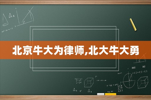 北京牛大為律師,北大牛大勇